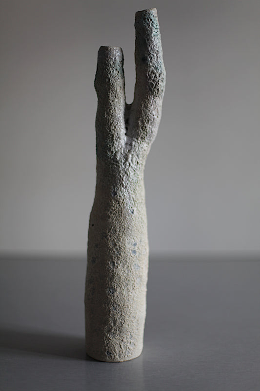 Double neck coral vessel