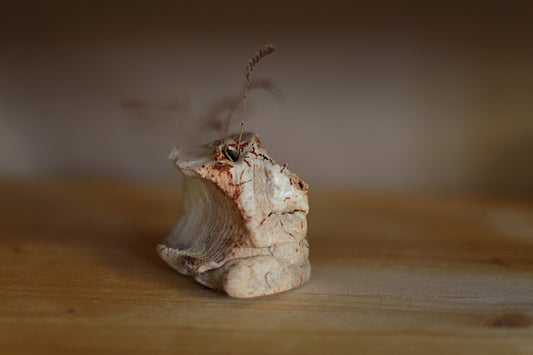 Bud vase, miniature vase, ikebana vessel, vessel, mini vase