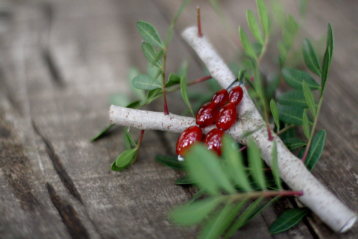 Rosa canina - carnelian  sterling silver open hoop earrings